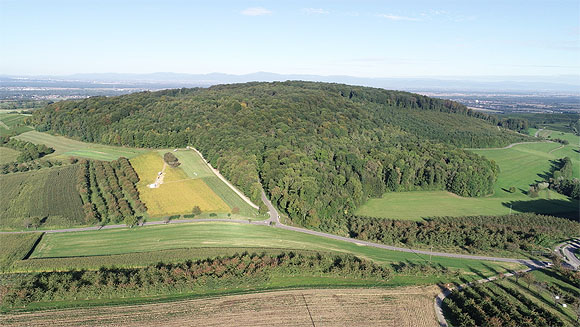 Luftbild mit Blick auf die aktuelle Ausgrabung am „Steinacker“. Foto: RPS/LAD Marcel El-Kassem