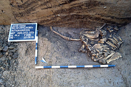 Hirschskelett am Boden einer Abfallgrube.