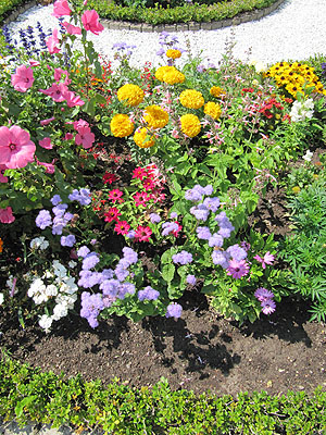 Sommerbepflanzung der Blumenbordüren im Kreisparterre