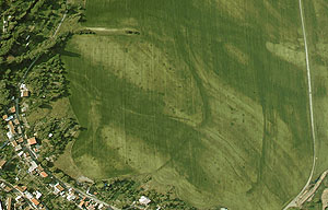 Luftbildaufnahme der Pfalz Derenburg. Aufgrund von Bewuchsanomalien sind die halbkreisförmigen Wälle (dunkelgrüne Ränder) der einstigen Anlage und deren Anordnung gut zu erkennen. Otto Braasch/Ralf Schwarz. Landesamt für Denkmalpflege und Archäologie Sachsen-Anhalt.