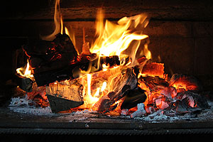 Heizen mit Holz liegt in Deutschland nach wie vor im Trend. Photo by Matias T on Unsplash