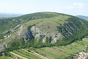 Die Hundsheimer Berge an der Grenze zwischen Niederösterreich und Wien. Wald etabliert sich nur dort, wo es die Bodenauflage zulässt. Das kontinental geprägte pannonische Klima fördert die Ausbildung artenreicher Steppenrasen. Foto: Heinz Wiesbauer