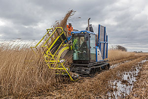 Mähmaschine bei der Arbeit im Moor