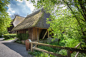 Deutscher Mühlentag: Eine der fünf historischen Mühlen des Freilichtmuseums. Foto: Schwarzwälder Freilichtmuseum Vogtsbauernhof, Hans-Jörg Haas