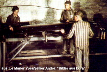 dora_arbeit_07_gr.jpg