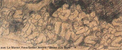 dora_arbeit_11_gr.jpg