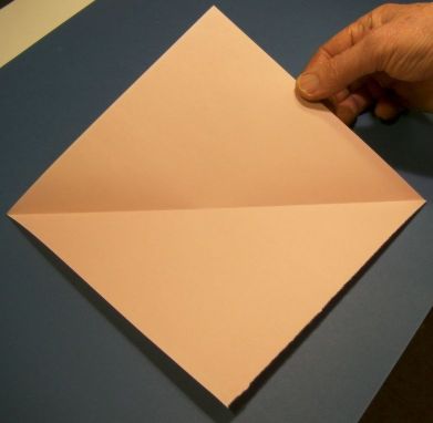 Quadrat-5