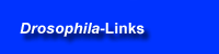 menu button links6