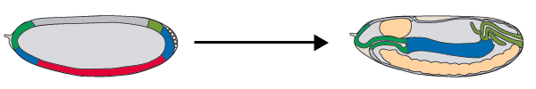 AbbSeite2.gif - 6181 Bytes