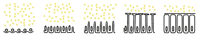 Zellularisierung3.gif - 9909 Bytes