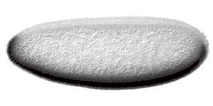 twist-expression.jpg - 6103 Bytes
