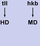 additiv.gif