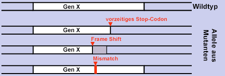 Mutationen