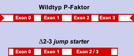 d2-3_Jumpstarter