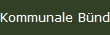 Kommunale Bndnisse 