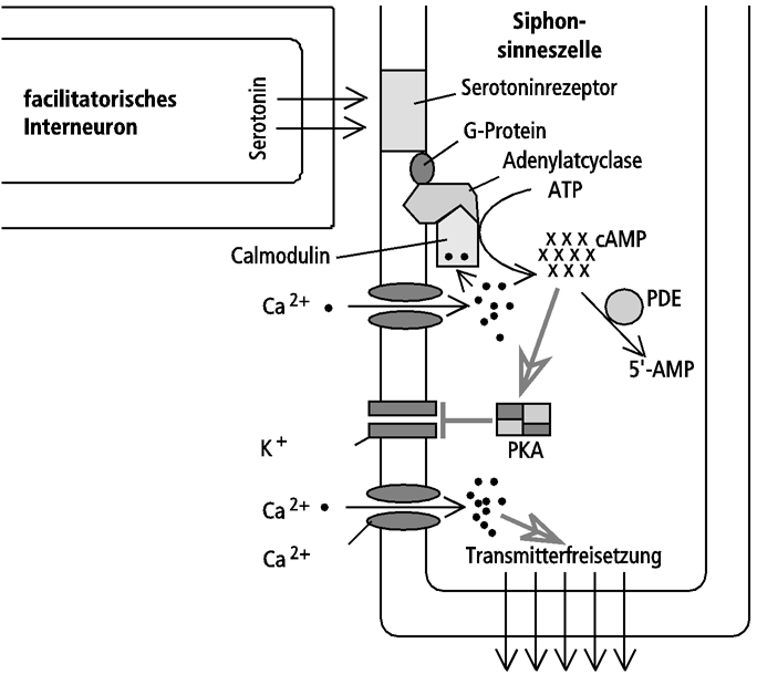 Abb.77